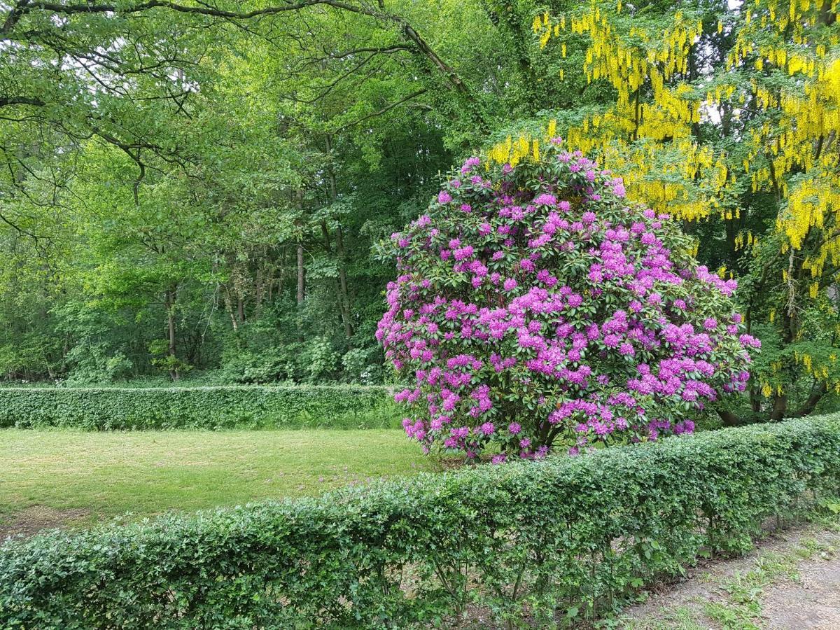 B&B De Panheide Hooghalen ภายนอก รูปภาพ